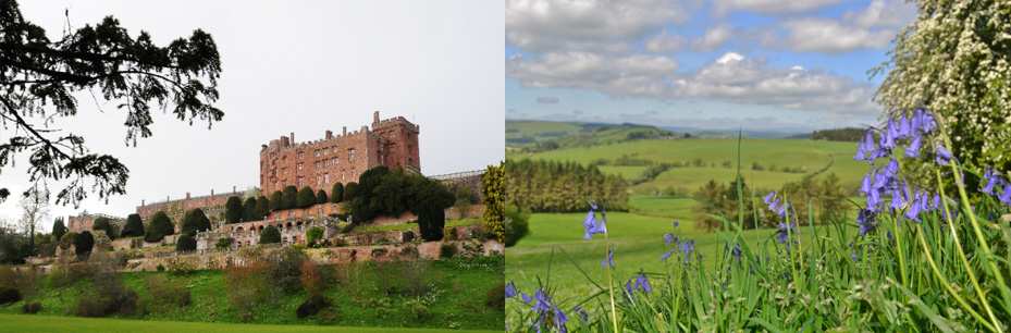 powis castle, Welshpool